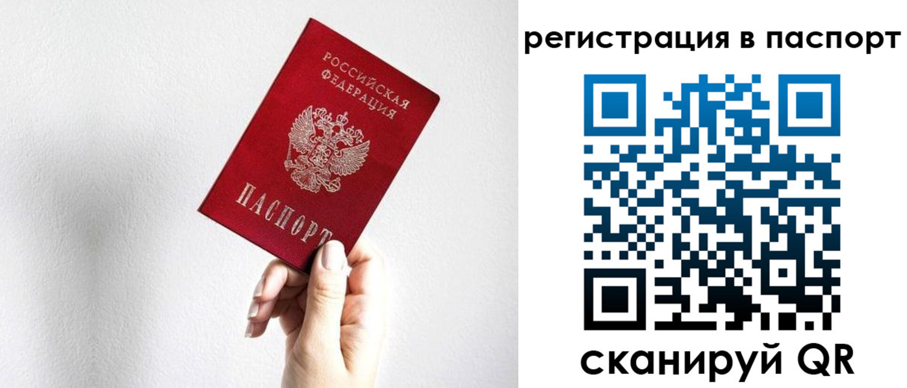 прописка законно в Волгореченске